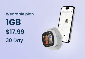 30 Day Wearable Plan