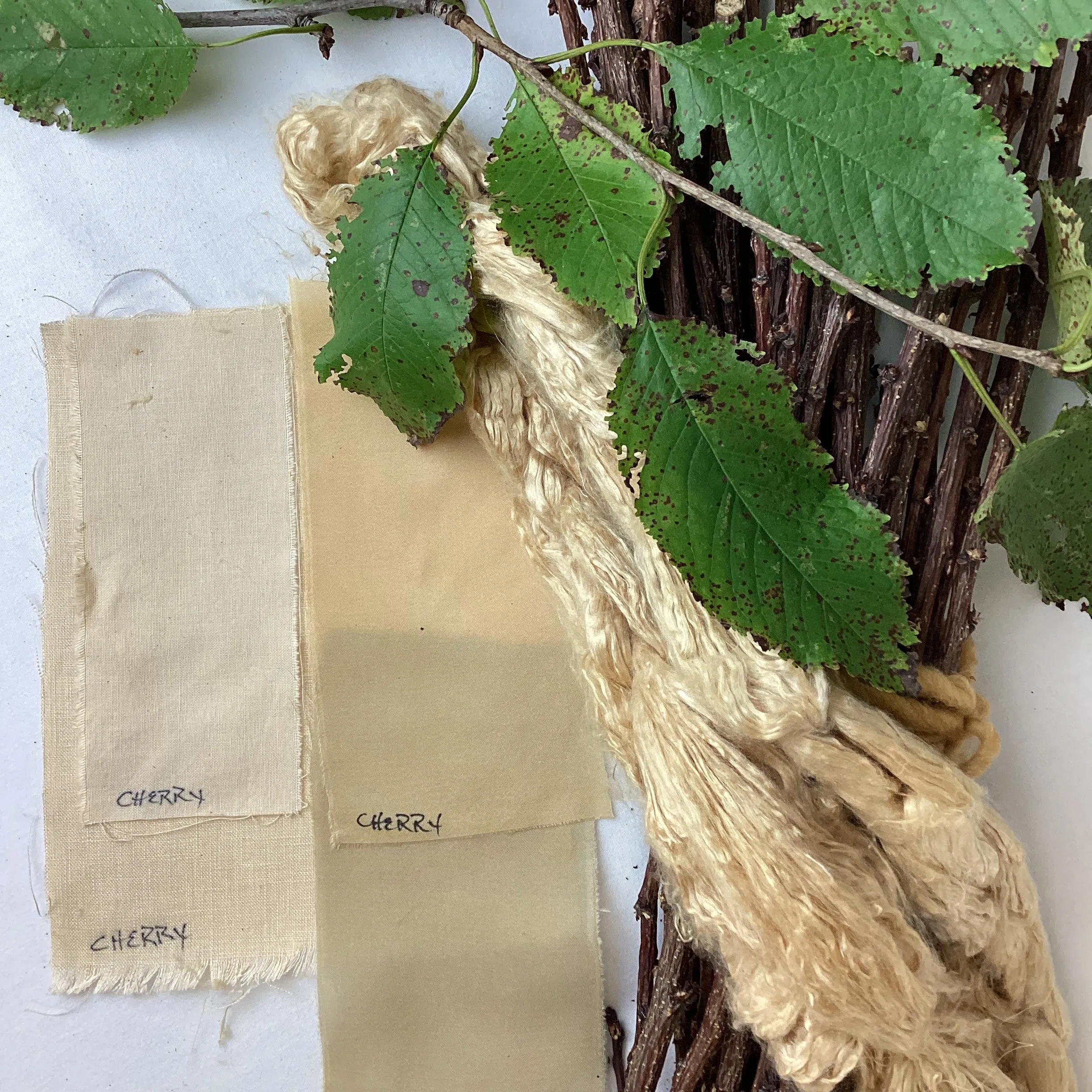 Fruit Tree Bark Dyes