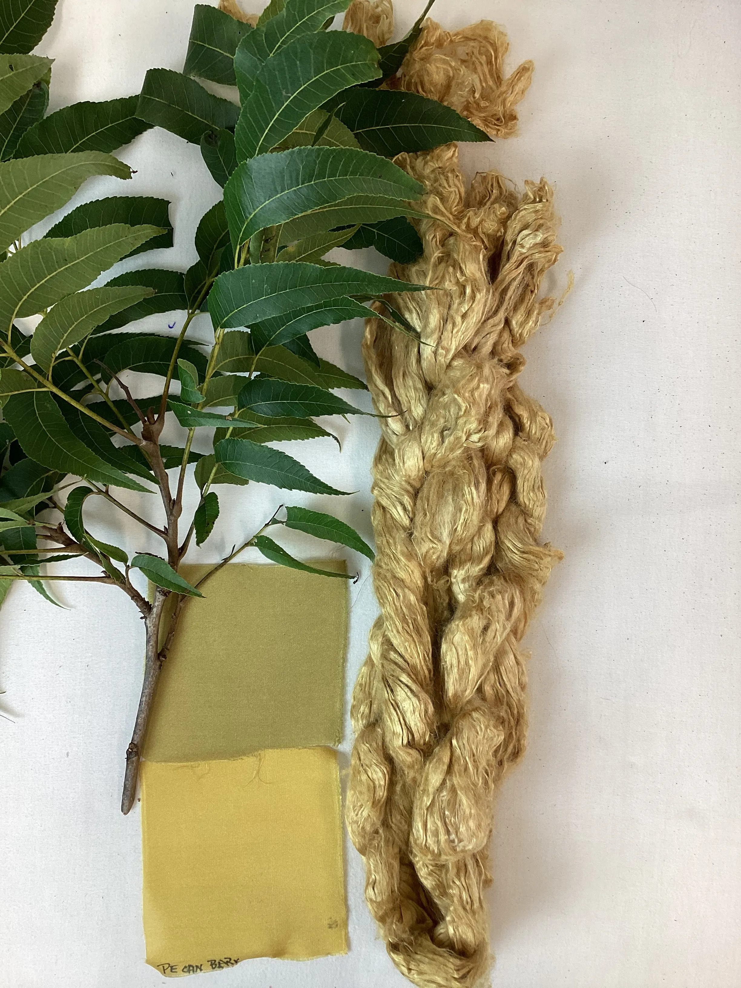 Fruit Tree Bark Dyes