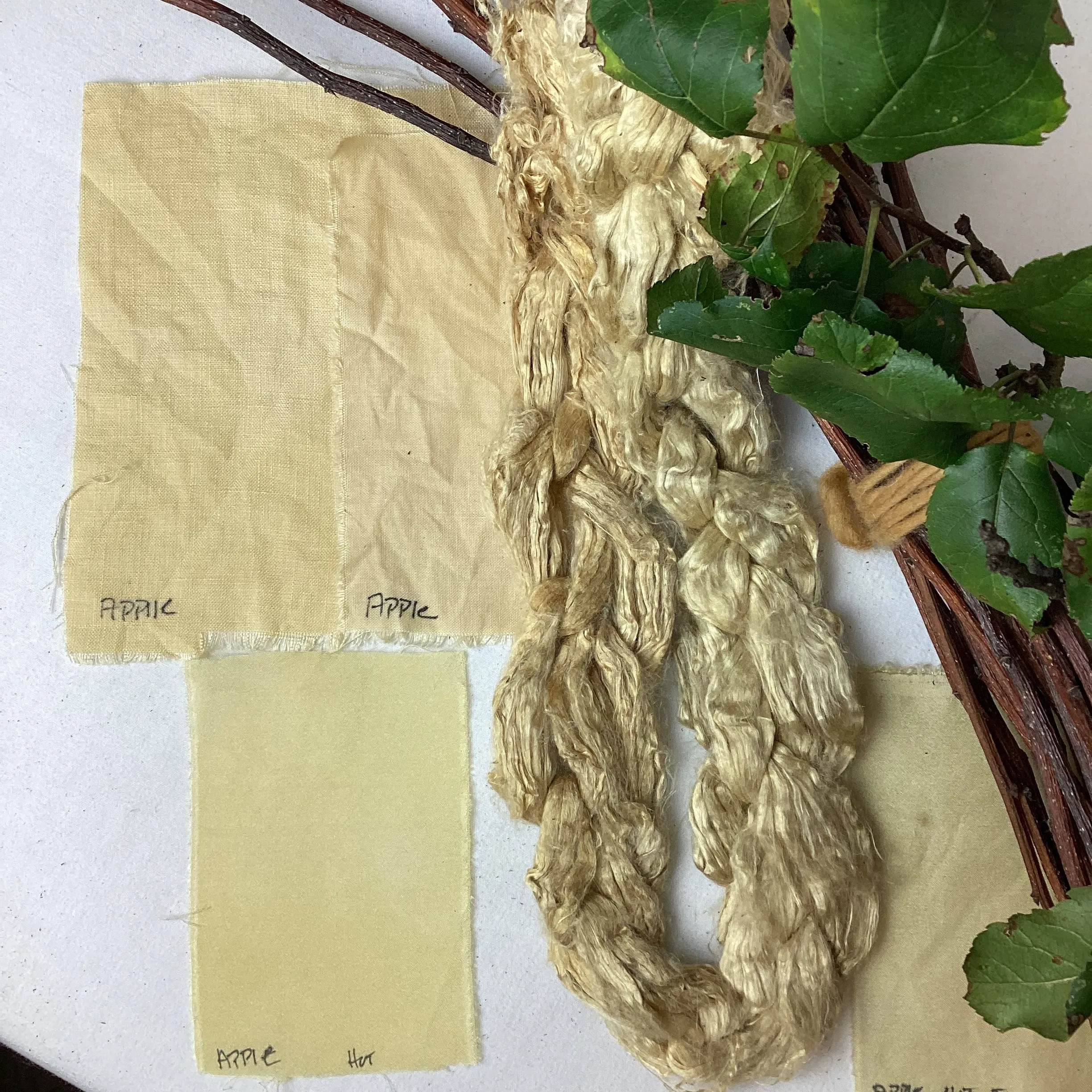 Fruit Tree Bark Dyes
