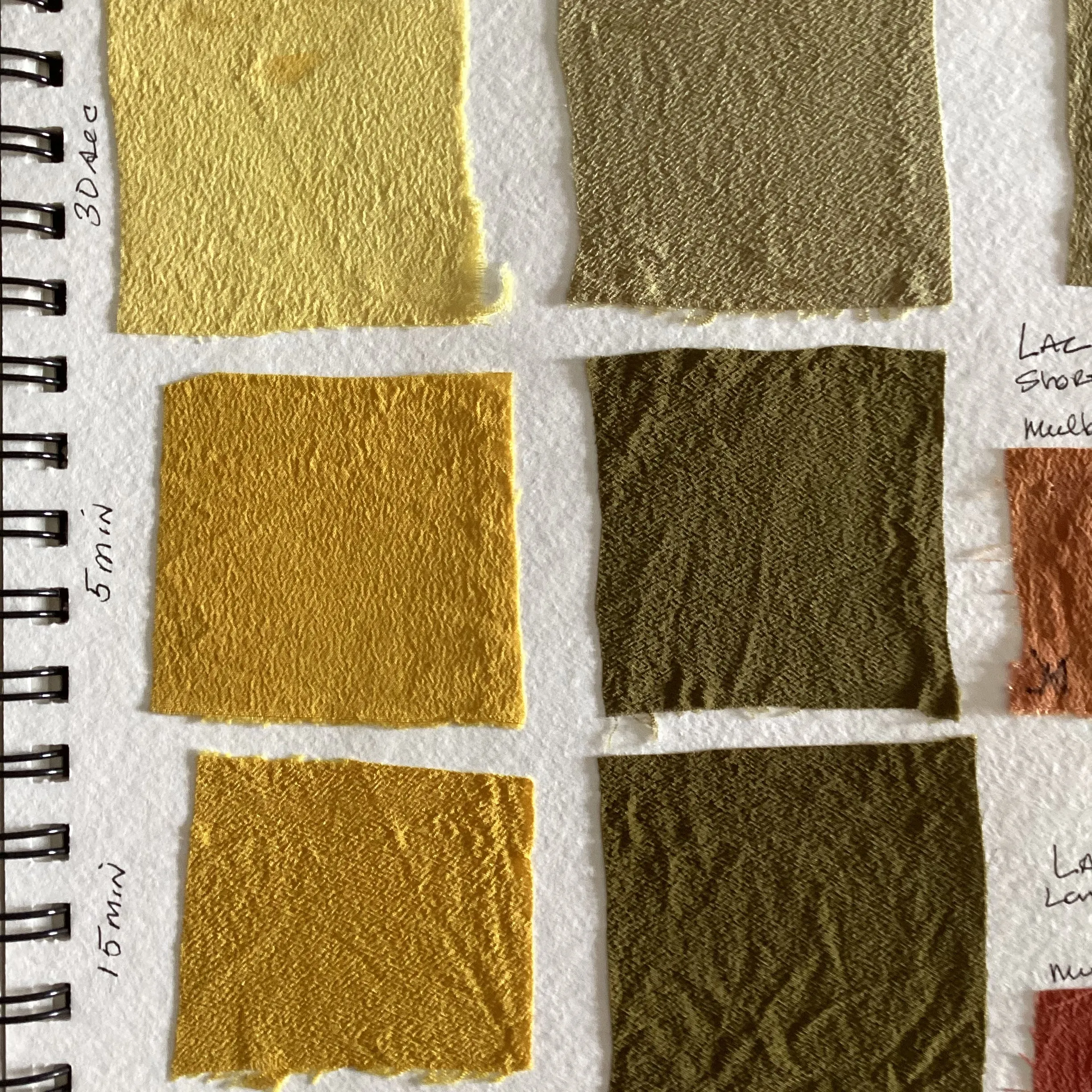 Fruit Tree Bark Dyes