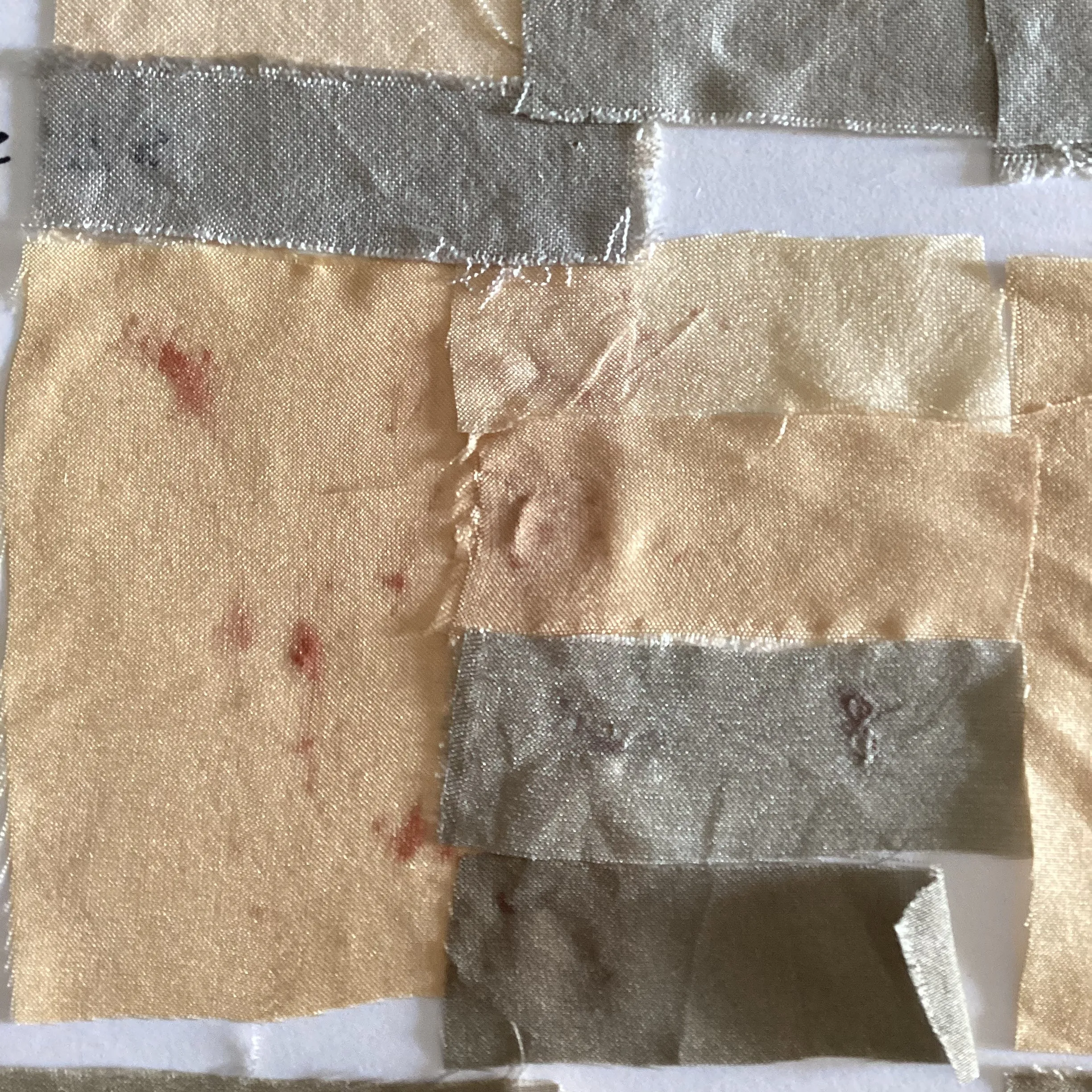 Fruit Tree Bark Dyes