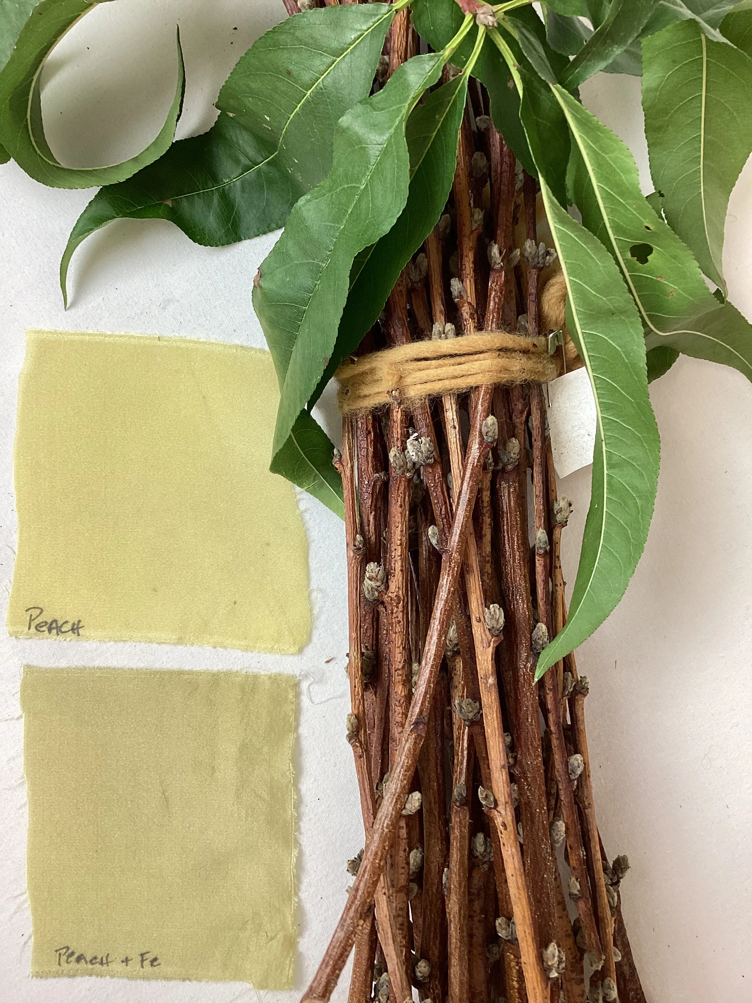 Fruit Tree Bark Dyes