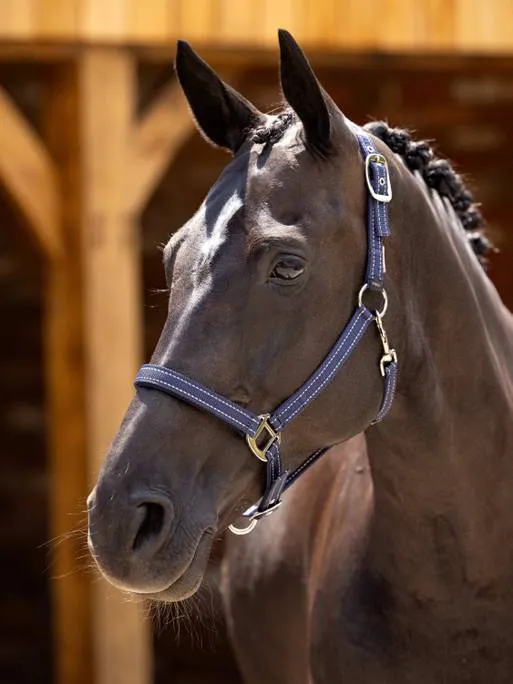LeMieux Neoprene Yard Headcollar