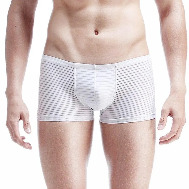 Silky Sheer Striped Boxers