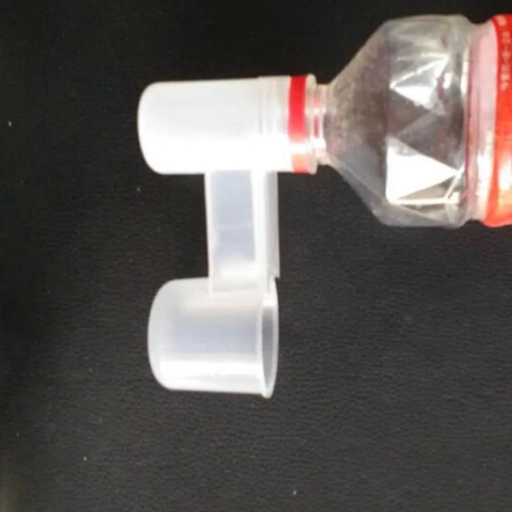 Transparent Bird Feeder
